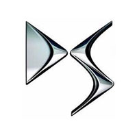 دی اس
